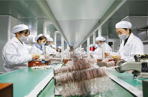 华蓥造 国际国内订单齐升